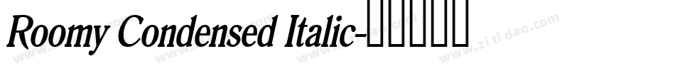 Roomy Condensed Italic字体转换